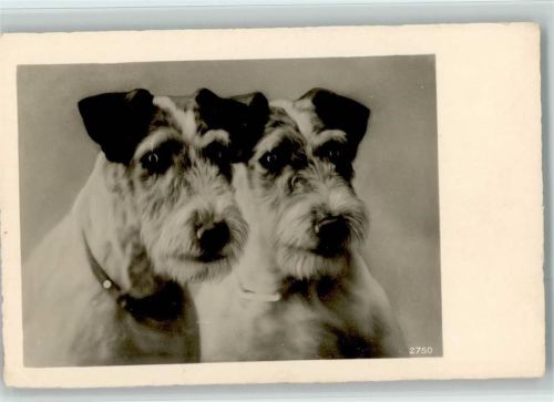 Foto ca 1937 AK