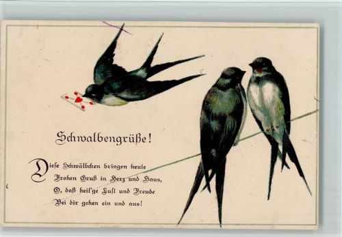 1917 S.V.D. Serie 3168-2 - Schwalbengrüße, Gedicht litho