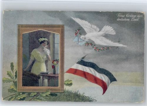 1916 Treue Grüsse aus deutschem Land - Taube mit Brief, Fahne,