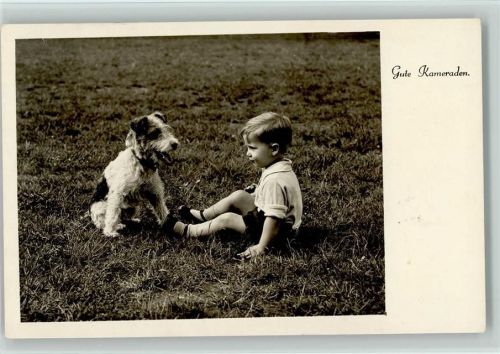 Gute Kameraden - Kind mit Hund auf der Wiese Foto AK