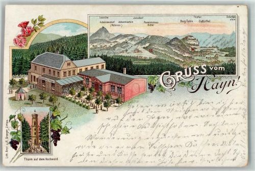 Hain 1897 Turm auf dem Hochwald Fosthaus Lithographie Hayn