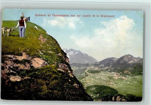 Leysin Sommet du Chamossaire vue sur Leysin et le Grammont Bauer Ziegen