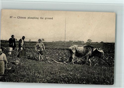 Landwirtschaft - Chinese ploughing the ground, Ochsengespann, Volkstypen