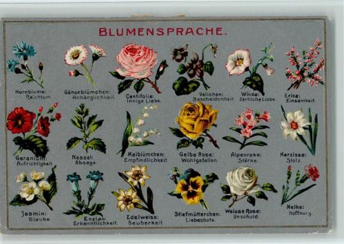 Nr. 25 Artist Atelier Guggenheim Nr. 9239 AK Blumensprache Prägedruck