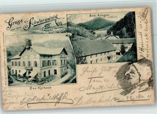 Bad Antogast 1901 Kurhaus Ortsansicht
