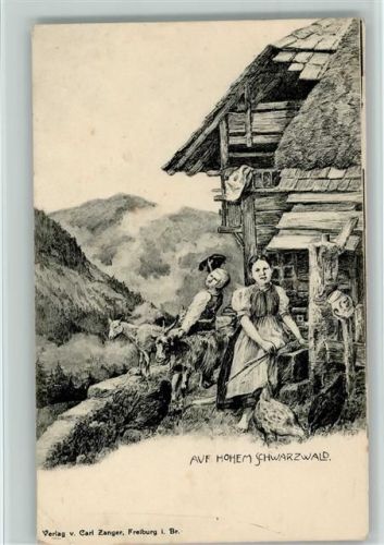 auf Hohem Schwarzwald, Ziegenhirte ca 1905 AK