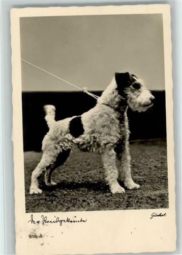 Foto 1937 AK
