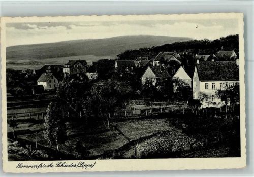 Schieder Exsammlung Busse Teilansicht