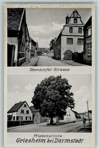 Griesheim Obendorfer Strasse Friedenslinde 2-Bildaufnahme