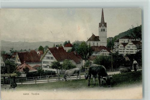 Teufen AR 1905 Kühe