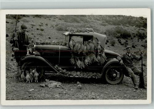 1937 Jäger mit einem Auto und ihrer Jagdbeute- Federwild - 60 Rebhühner 3 Hasen