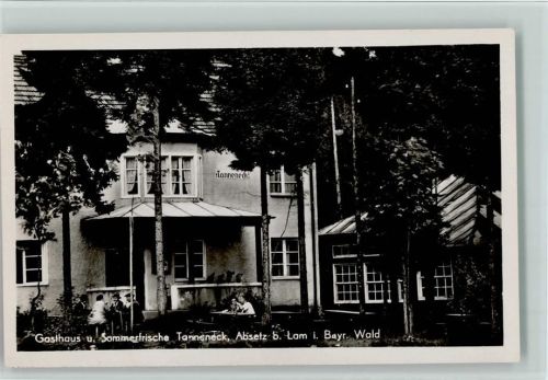 Absetz Pension z. Tanneneck, sehr gute Erhaltung AK