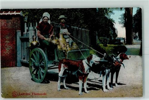 1916 Laitiere Flamande Verlag Lux Serie 18-5 AK