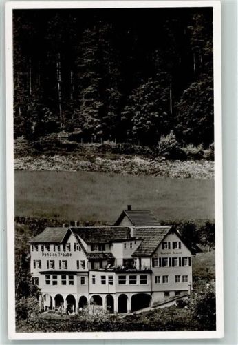Tonbach Gasthaus Pension Zur Traube Bes. Heinrich Finkbeiner