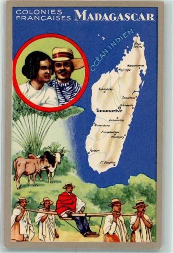 Volkstypen Stier Indischer Ozean Colonies Francaises