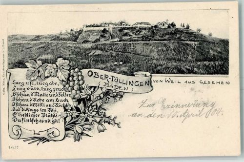 Tüllingen Ober-Tüllingen von Weil am Rhein gesehen Weinberge