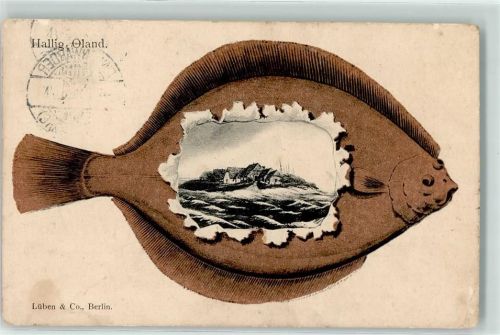 Oland Scholle