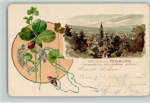 Freiburg 1902 Lithographie Prägedruck Passepartout Hufeisen Marienkäfer Vierblättriger Klee