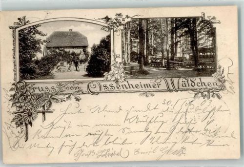Ossenheim 1903 Ossenheimer Wäldchen Gasthaus Gartenwirtschaft