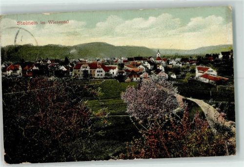 Steinen Baumblüte