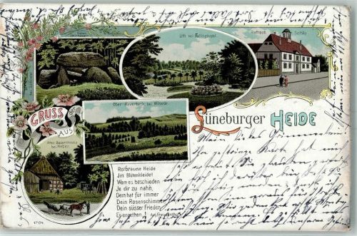Soltau 1899 Gruss aus der Lüneburger Heide Rathaus Hünengräber ( Sieben Steinhäuser ) AK