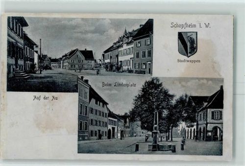Schopfheim Auf der Au Beim Lindenplatz Stadtwappen