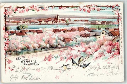 Werder 1903 Baumblüte Vögel Kirche Fabrik Gruss Blumen