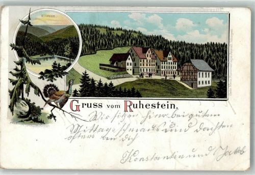 Ruhestein 1899 Lithographie Wildsee