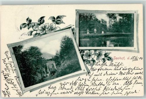 Heide 1904 Seehof Blumen