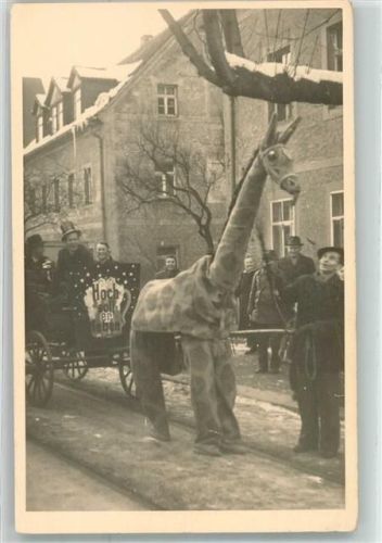 Freital Hainsberg Giraffe Winter
