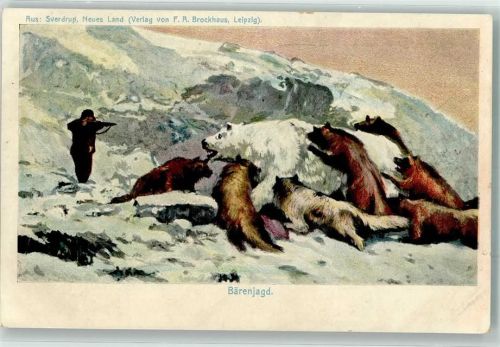 Bärenjagd Eisbär