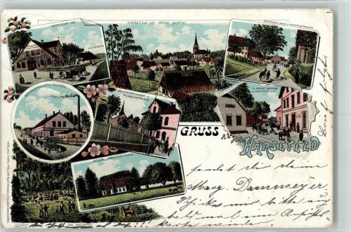 Harsefeld 1898 Hamburger Hof Deutsches Haus mit Herrenstraße H. Greves Gasthof Marktstraße Deutscher Kaiser Wilhelmstraße Genossenschafts-Molkerei Königl. Oberförsterei Lithographie