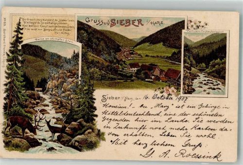 37412 W3429 Sieber 1897 Gebrauchsspuren Lithographie