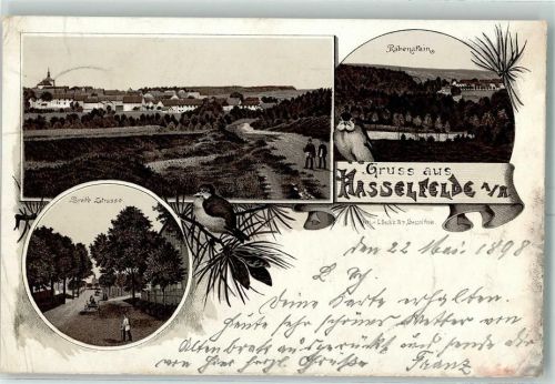 Hasselfelde 1898 Breite Straße Rabenstein Lithographie