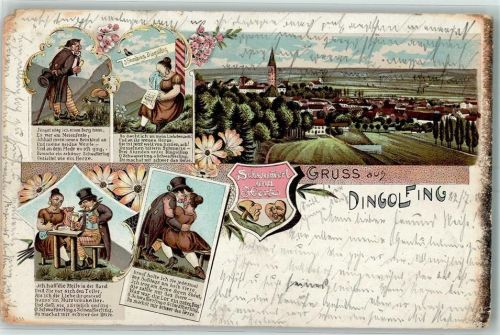 84130 W8312 Dingolfing 1900 Gebrauchsspuren Schwammerl und Herz Pilze Lithographie