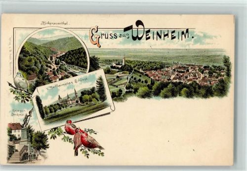 Weinheim Birkenauertal Gesamtansicht v. Berkheimsches Schloss Krieger-Denkmal Vögel