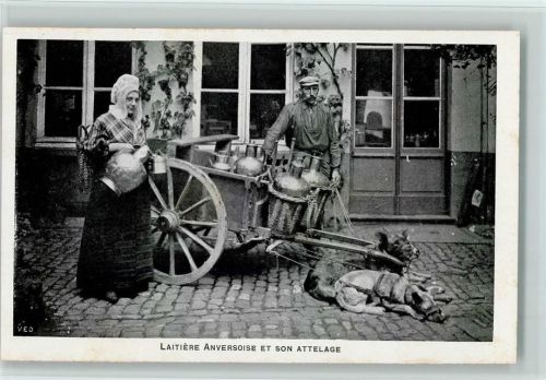 Serie - Laitiere Flamande - gute Erhaltung AK