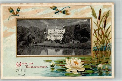 Reinhardsbrunn 1901 Schloss Reinhardsbrunn Seerosen Schilf Libellen Passepartout