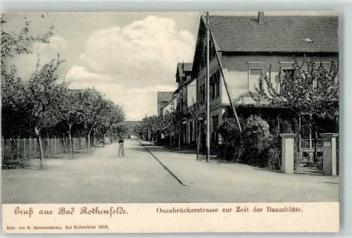 Bad Rothenfelde Osnabrückerstraße Baumblüte Fahrrad Gruss