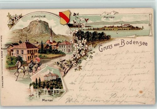 Insel Mainau 1898 Gasthaus, Kutsche, Insel AK