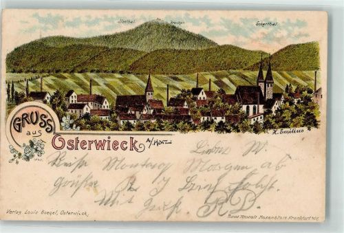 Osterwieck 1898 Kirche Turm Fabrik Eckerthal Brocken Gruss Blumen sign. H. Emilius