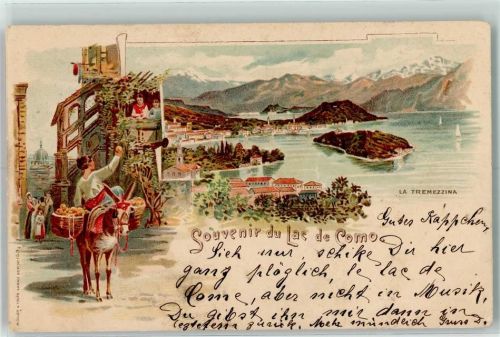 Como 1898 La Tremezzina Lac de Como Esel mit Körben