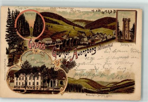 Wildenthal 1900 Gasthaus am Auersberg Turm Zigeunergrund Hotel Drechsler Wild Gruss