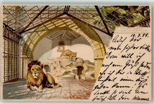 Berlin Mitte 1899 Gruss aus Zoologischer Garten Raubtierhaus AK