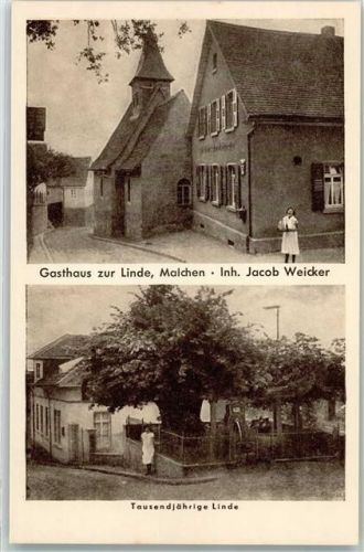 Malchen Gasthaus zur Linde Tausendjährige Linde