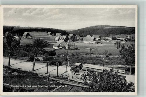 Zinnwald-Georgenfeld Langholztransporter Baumstämme