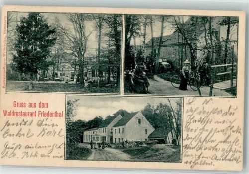 14929 O1701 Marzahna 1903 - Waldgasthaus Friedenthal Gartenwirtschaft Fahradfahrerin Ort lt. Stempel
