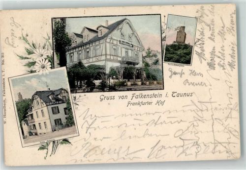 Falkenstein 1907 Frankfurter Hof