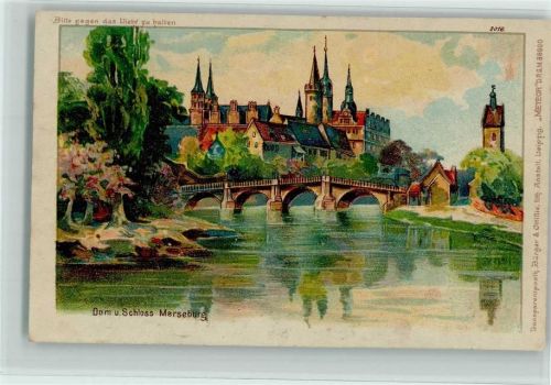 Merseburg 1899 Gruss aus - Dom und Schloß - Verlag Bruno Bürger 3016