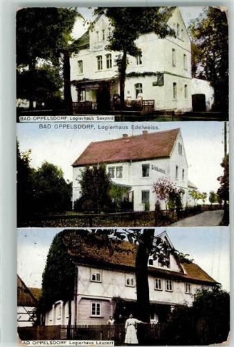 Bad Oppelsdorf 1919 Logierhaus Saxonia Logierhaus Leunert Logierhaus Edelweiss